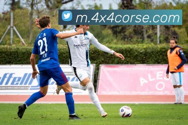 战术演练